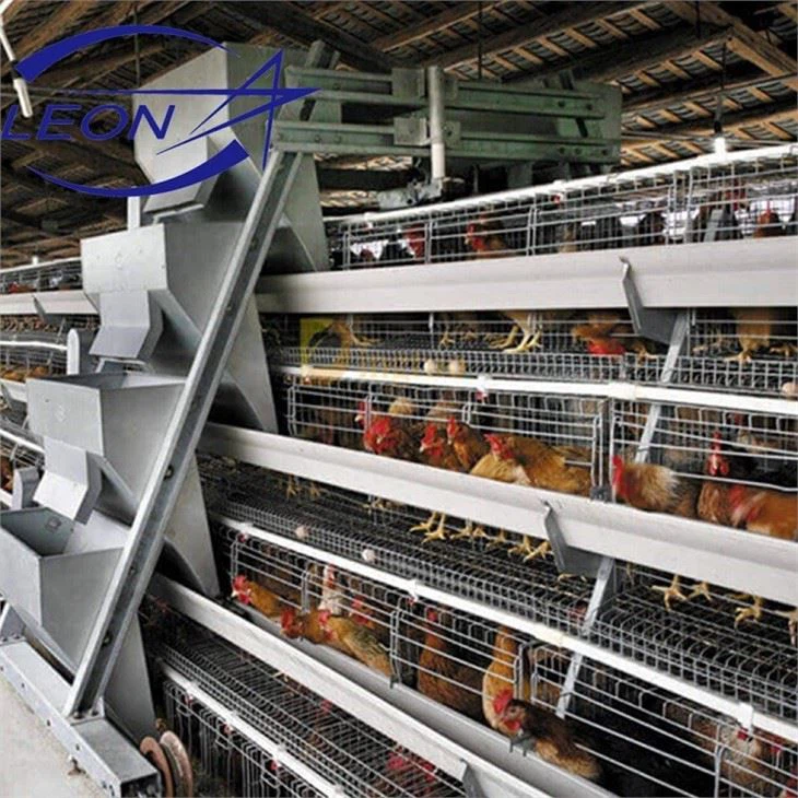 Broiler Cage System Poultry Farming