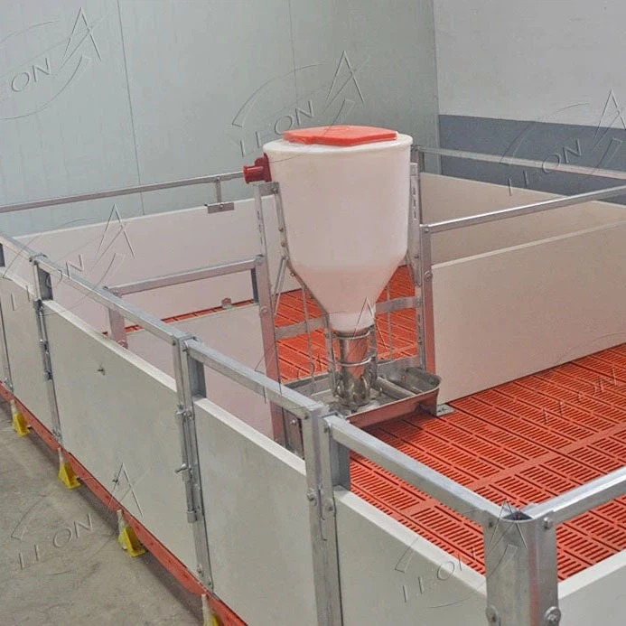 Dry And Wet Feeder For Pigs