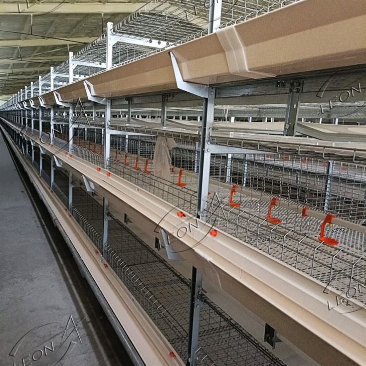 H Type Chicken Cage For Broiler House